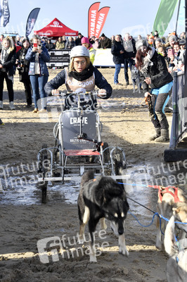 Baltic Lights Hunderennen 2019 auf Usedom
