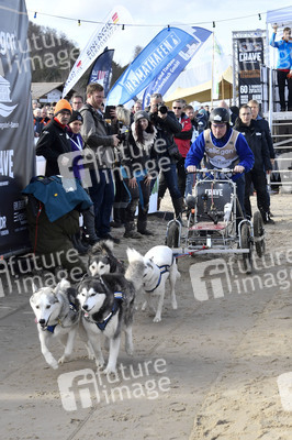 Baltic Lights Hunderennen 2019 auf Usedom