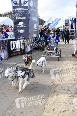 Baltic Lights Hunderennen 2019 auf Usedom