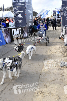 Baltic Lights Hunderennen 2019 auf Usedom