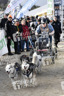 Baltic Lights Hunderennen 2019 auf Usedom