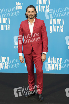 Photocall 'Dolor y gloria' in Madrid