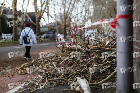 Symbolfoto Sturmschäden