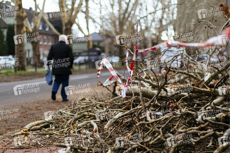 Symbolfoto Sturmschäden