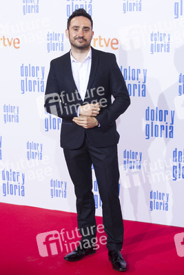 Filmpremiere 'Dolor y gloria' in Madrid