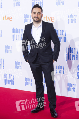 Filmpremiere 'Dolor y gloria' in Madrid