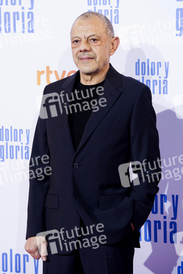 Filmpremiere 'Dolor y gloria' in Madrid