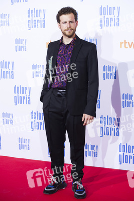 Filmpremiere 'Dolor y gloria' in Madrid