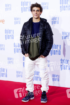 Filmpremiere 'Dolor y gloria' in Madrid
