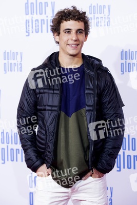 Filmpremiere 'Dolor y gloria' in Madrid