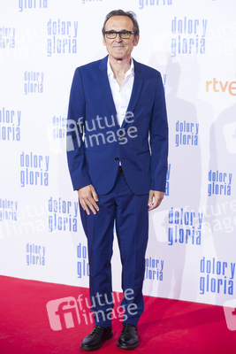 Filmpremiere 'Dolor y gloria' in Madrid