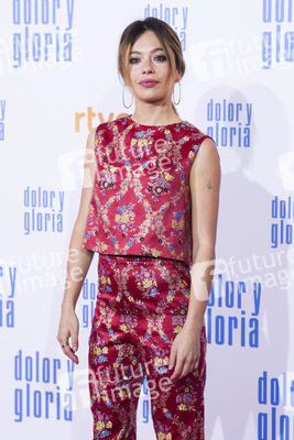 Filmpremiere 'Dolor y gloria' in Madrid