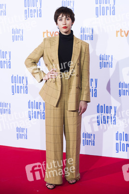 Filmpremiere 'Dolor y gloria' in Madrid