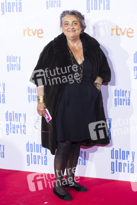 Filmpremiere 'Dolor y gloria' in Madrid