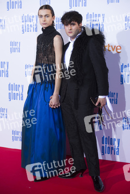 Filmpremiere 'Dolor y gloria' in Madrid