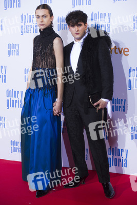 Filmpremiere 'Dolor y gloria' in Madrid