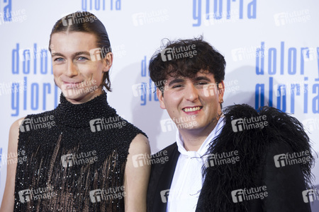 Filmpremiere 'Dolor y gloria' in Madrid