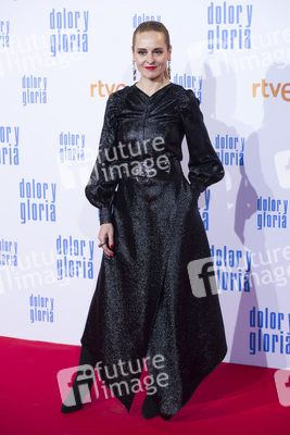 Filmpremiere 'Dolor y gloria' in Madrid