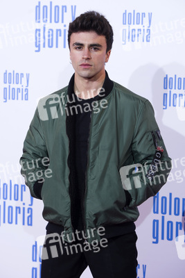 Filmpremiere 'Dolor y gloria' in Madrid