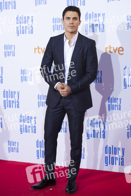 Filmpremiere 'Dolor y gloria' in Madrid