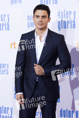 Filmpremiere 'Dolor y gloria' in Madrid