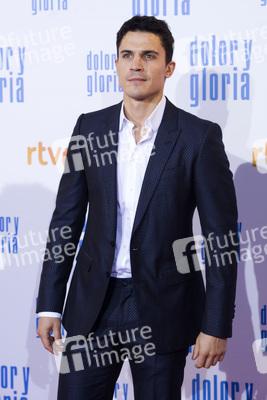 Filmpremiere 'Dolor y gloria' in Madrid