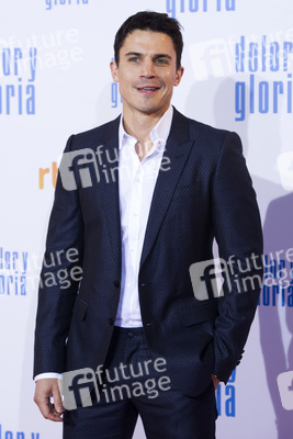 Filmpremiere 'Dolor y gloria' in Madrid