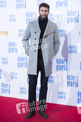 Filmpremiere 'Dolor y gloria' in Madrid