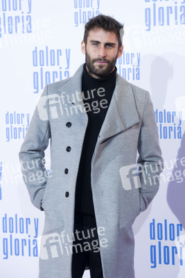 Filmpremiere 'Dolor y gloria' in Madrid