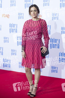 Filmpremiere 'Dolor y gloria' in Madrid