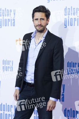 Filmpremiere 'Dolor y gloria' in Madrid