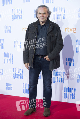 Filmpremiere 'Dolor y gloria' in Madrid