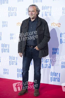 Filmpremiere 'Dolor y gloria' in Madrid