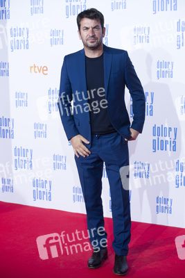 Filmpremiere 'Dolor y gloria' in Madrid