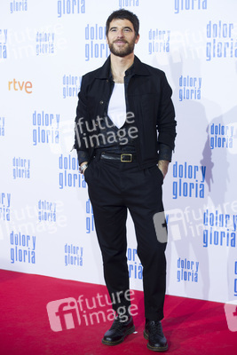 Filmpremiere 'Dolor y gloria' in Madrid