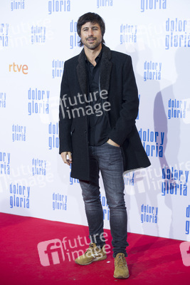 Filmpremiere 'Dolor y gloria' in Madrid