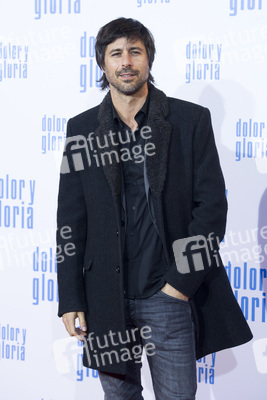 Filmpremiere 'Dolor y gloria' in Madrid