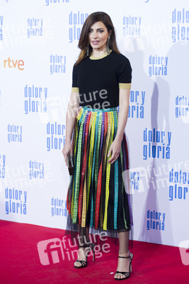 Filmpremiere 'Dolor y gloria' in Madrid