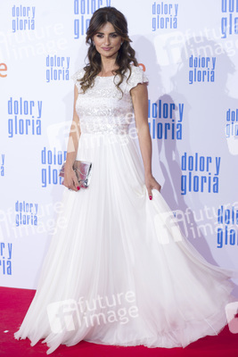 Filmpremiere 'Dolor y gloria' in Madrid