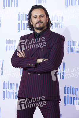 Filmpremiere 'Dolor y gloria' in Madrid