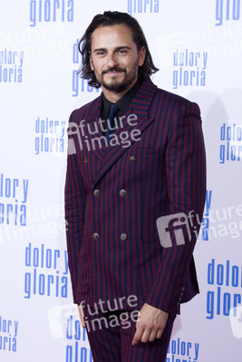 Filmpremiere 'Dolor y gloria' in Madrid