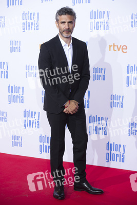 Filmpremiere 'Dolor y gloria' in Madrid