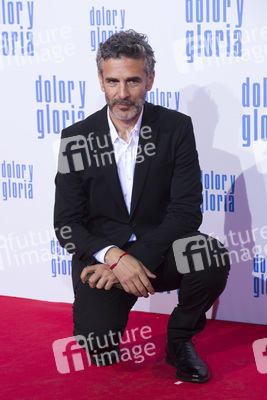 Filmpremiere 'Dolor y gloria' in Madrid