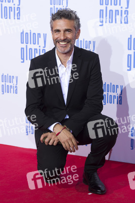 Filmpremiere 'Dolor y gloria' in Madrid