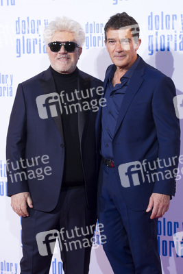 Filmpremiere 'Dolor y gloria' in Madrid