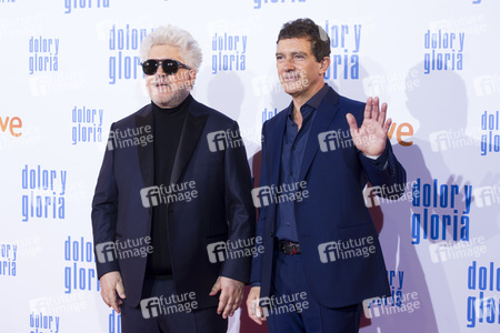 Filmpremiere 'Dolor y gloria' in Madrid