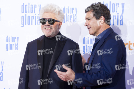 Filmpremiere 'Dolor y gloria' in Madrid