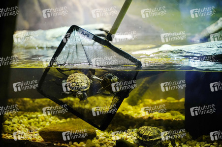 Frühjahrsputz im AquaDom & Sea Life Berlin