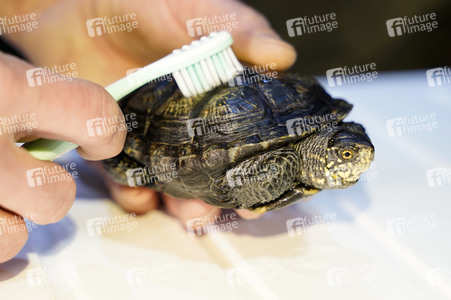 Frühjahrsputz im AquaDom & Sea Life Berlin