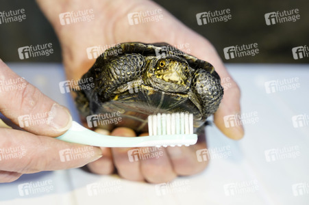 Frühjahrsputz im AquaDom & Sea Life Berlin